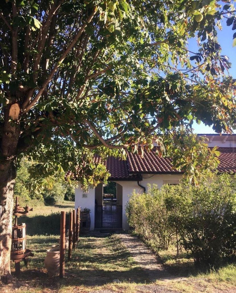 Bed&Breakfast La Ginestra Abbateggio 外观 照片